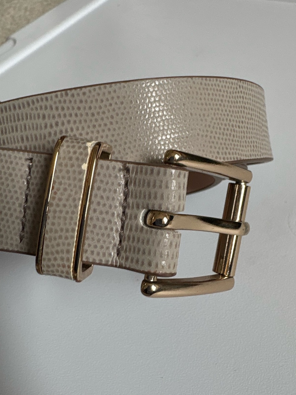 Taupe Textured Belt with Gold Buckle